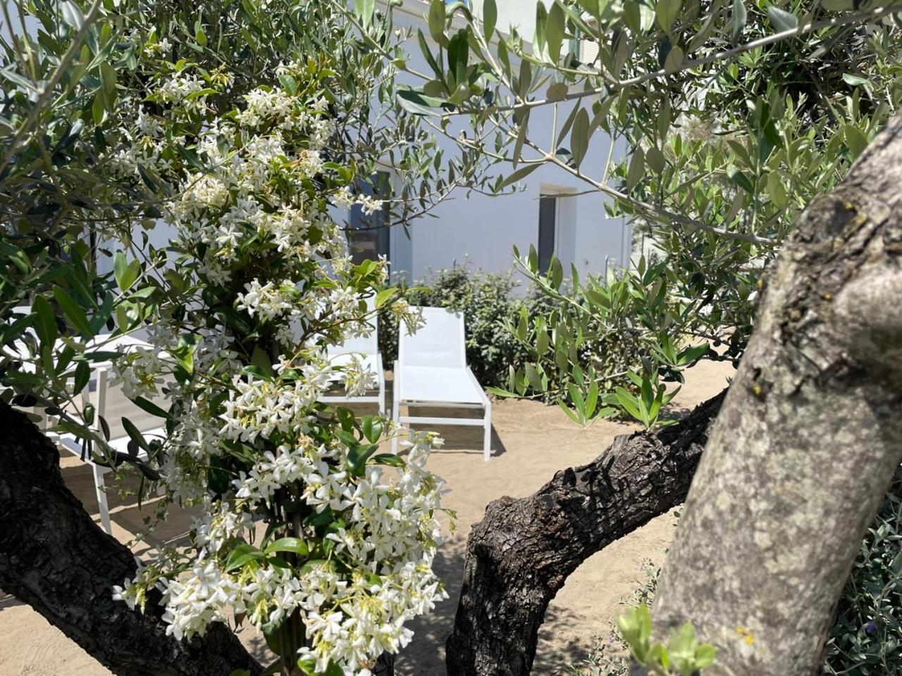 בלריה-איגאה מרינה Villa Le Agavi Luxory Beach Surfhouse מראה חיצוני תמונה